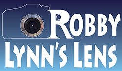 Robby Lynn's Lens logo